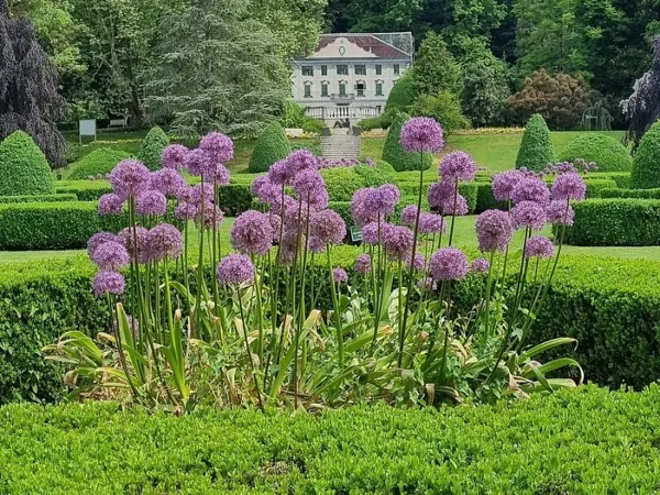 Zašto posjetiti Arboretum?